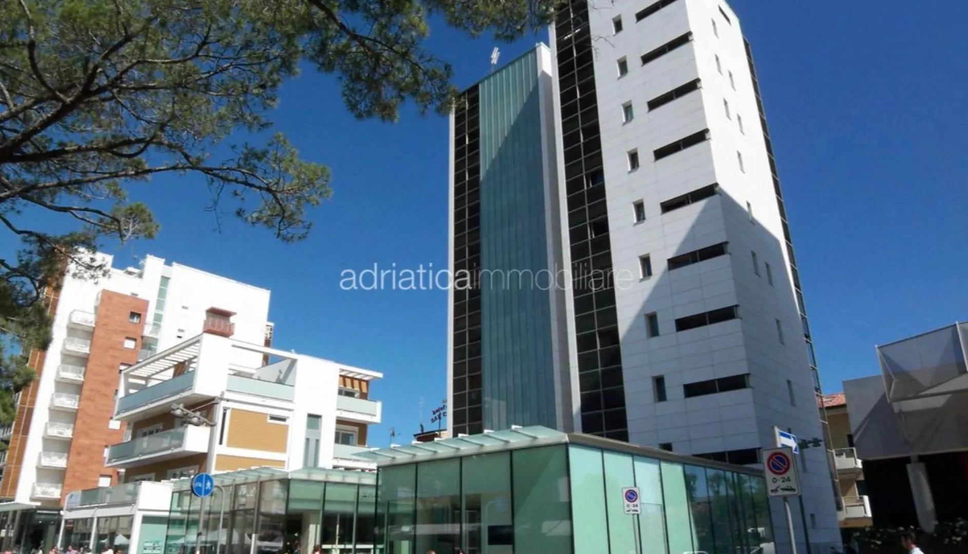 Belvedere Apartments contacts